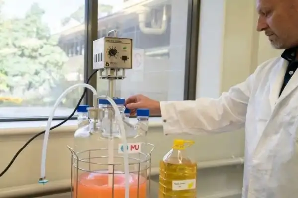 Australia's plastic ban is upgraded again! Establishing national-level agency to develop 100% compostable plastics